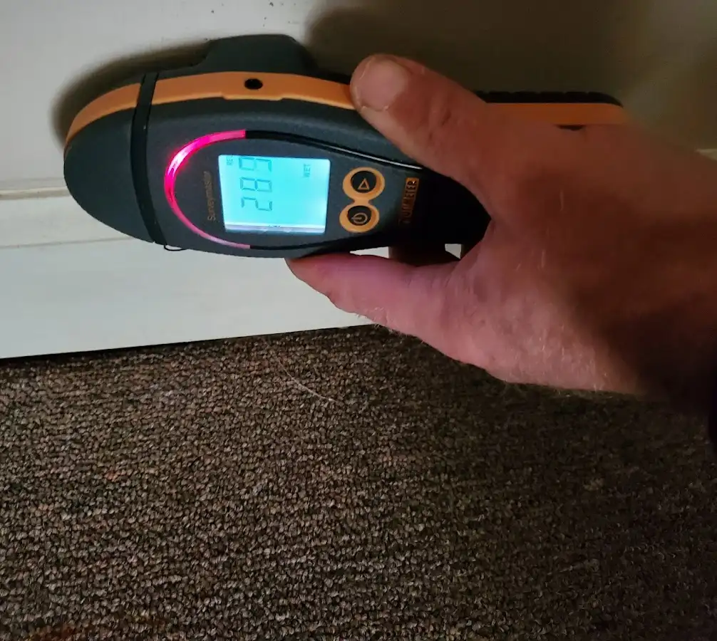 Moisture detection at baseboard during Sewage Cleanup & Sanitation in Lopatcong